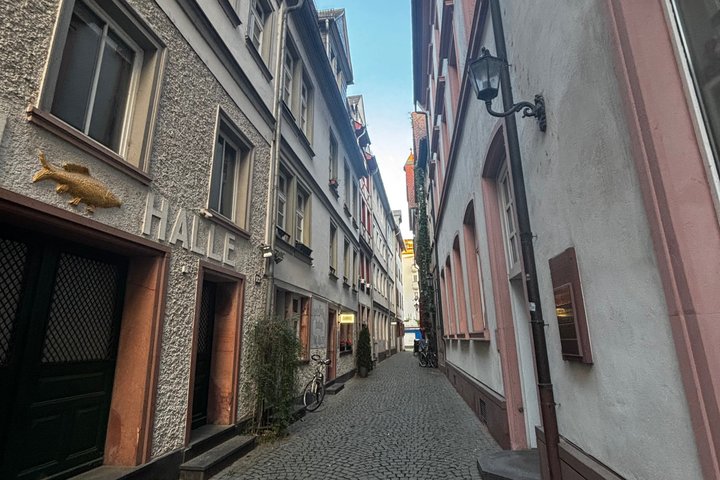 Evening walking tour of Mainz Rhine bank and Old Town