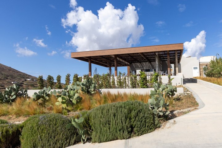 Vinprovning i Tinos: Havsutsikt Terrass Tour & Sommelier Guide