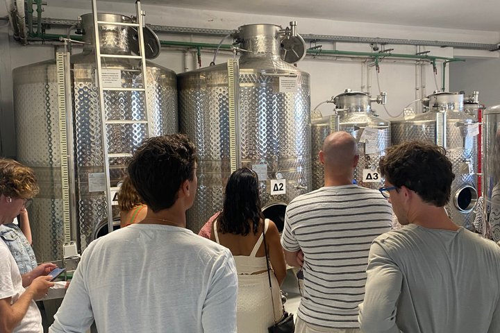 Vinprovning i Tinos: Havsutsikt Terrass Tour & Sommelier Guide