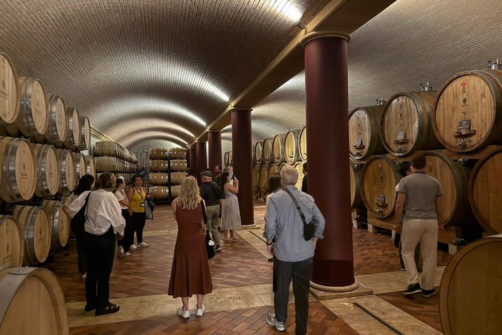 Vanuit Verona : Valpolicella & Amarone-wijnervaring van een halve dag