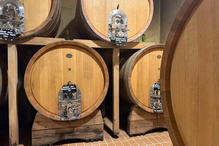 Vanuit Verona : Valpolicella & Amarone-wijnervaring van een halve dag