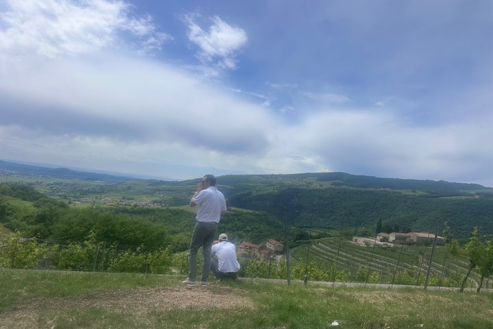 Große Tour durch Valpolicella : Schwerpunkt Amarone, 2 Weingüter und Mittagessen