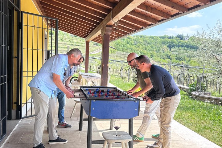 Große Tour durch Valpolicella : Schwerpunkt Amarone, 2 Weingüter und Mittagessen