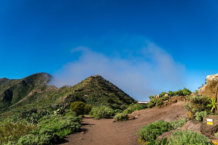Tenerifes høydepunkter Gigantes og Masca kystklipper