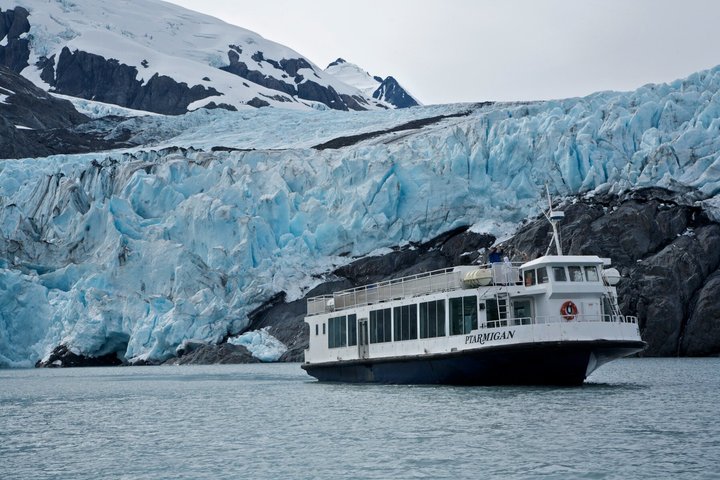 Portage Glacier kryssning Upplev 1 timmes bilresa från Anchorage