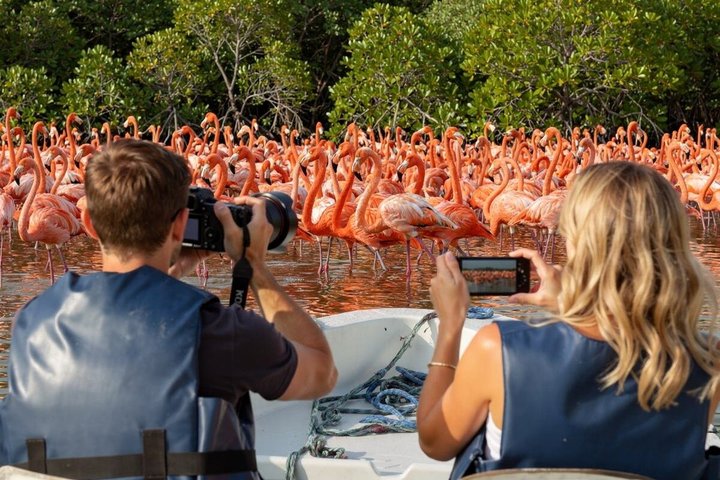 Rio Lagartos og Las Coloradas - Flamingo og Crocodile Safari Plus