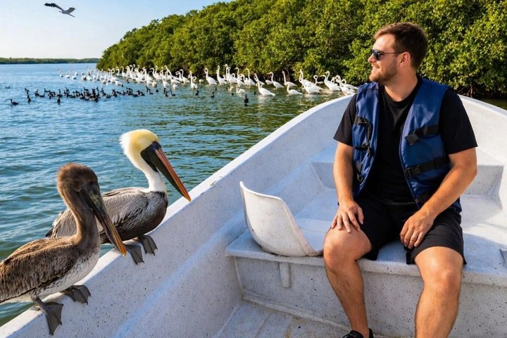 Rio Lagartos e Las Coloradas - Esperienza safari nella natura di 4 ore