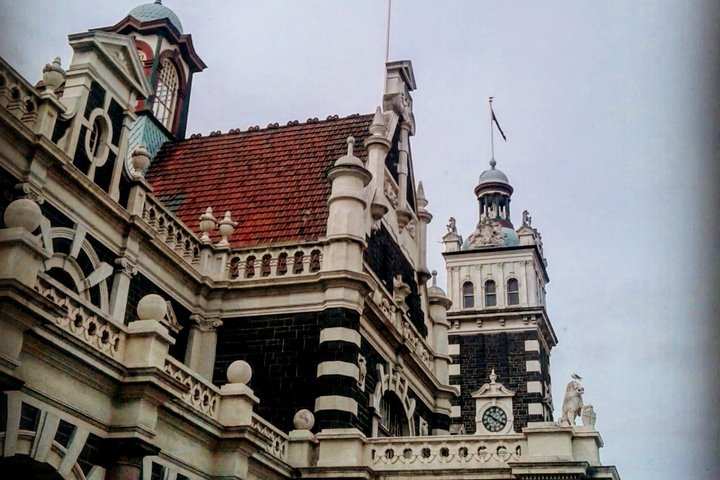 Cruiseschiptour Hoogtepunten van Dunedin City & uitzicht op het schiereiland Otago