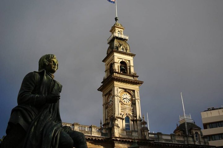 Cruiseschiptour Hoogtepunten van Dunedin City & uitzicht op het schiereiland Otago