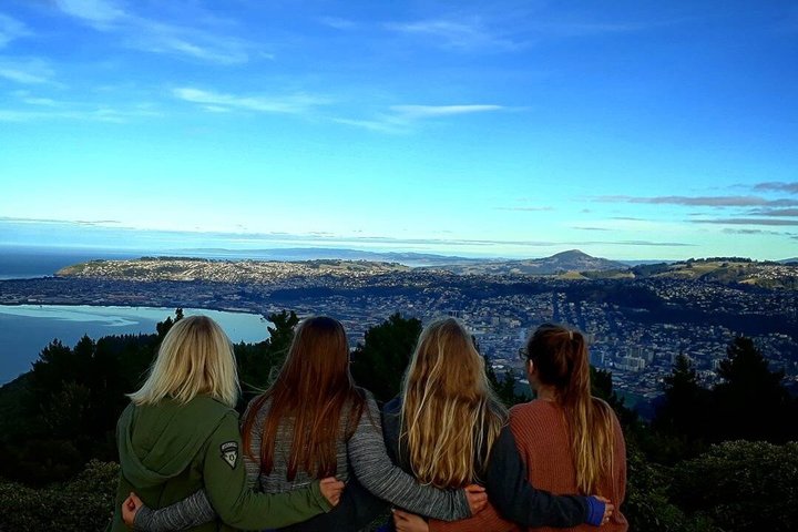Cruiseschiptour Hoogtepunten van Dunedin City & uitzicht op het schiereiland Otago