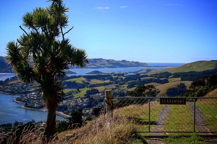 Cruiseschiptour Hoogtepunten van Dunedin City & uitzicht op het schiereiland Otago