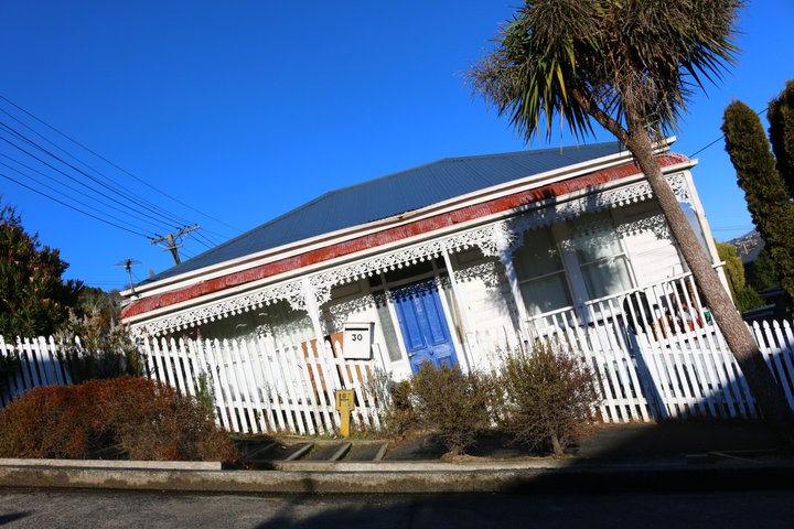 Cruiseschiptour Hoogtepunten van Dunedin City & uitzicht op het schiereiland Otago