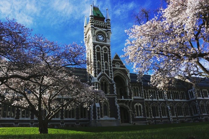 Cruiseschiptour Hoogtepunten van Dunedin City & uitzicht op het schiereiland Otago