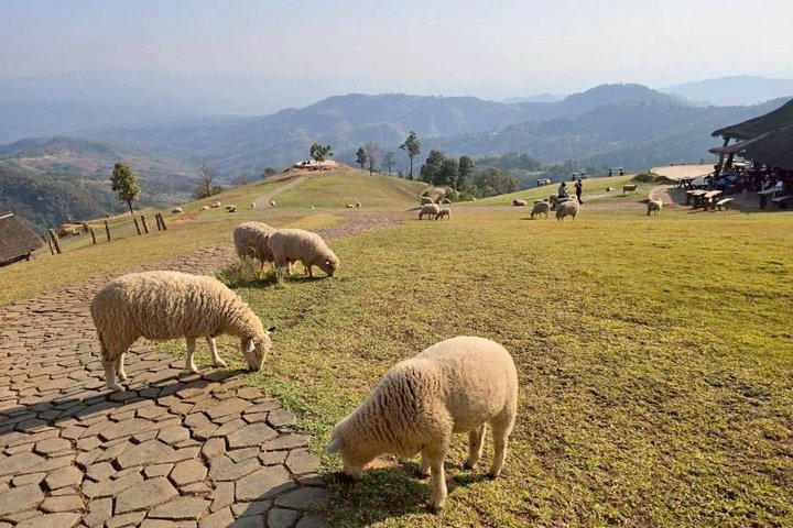 Hoteller i nærheden af Chiang Mai Private Scenic Transfer Tour