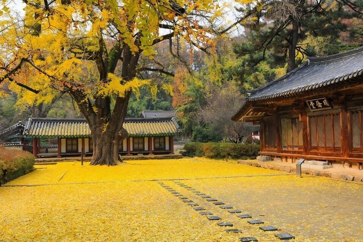 Jeonju Hanok Village och Maisan Mountain privat grupptur