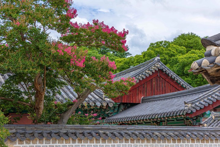 Jeonju Hanok Village och Maisan Mountain privat grupptur