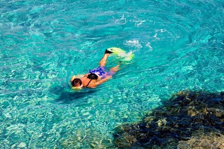 Excursion d'une journée sur l'île de Tabarca et Santa Pola au départ de Murcie