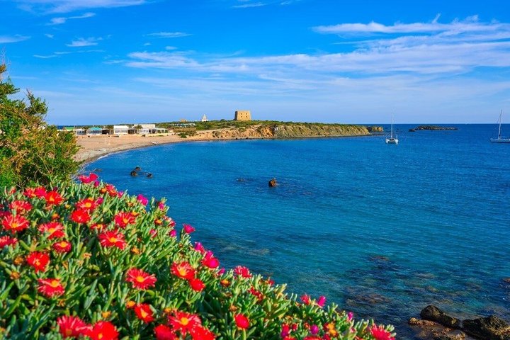 Excursion d'une journée sur l'île de Tabarca et Santa Pola au départ de Murcie