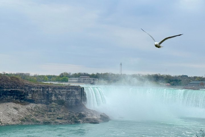 Privat taxitransfer från Buffalo till Niagarafallen Kanada