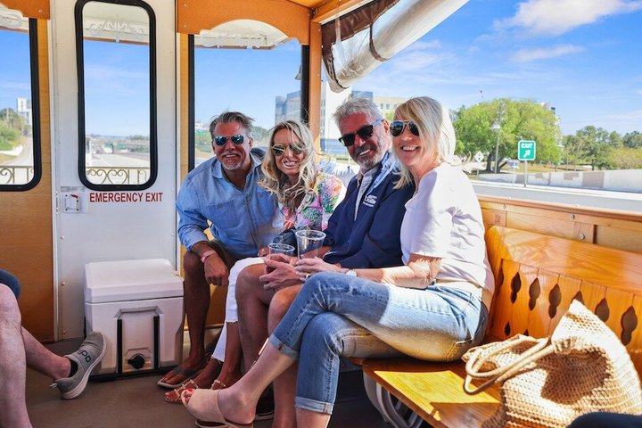 St Petersburg Ultimate (ALL-IN-ONE) City Trolley Tour