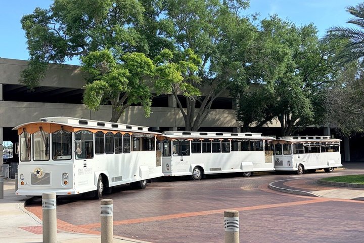 St Petersburg Ultimate (ALL-IN-ONE) City Trolley Tour