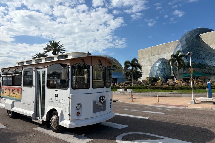 St Petersburg Ultimate (ALL-IN-ONE) City Trolley Tour