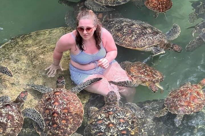 Dauphins de Mnemba, plongée avec tuba et Nungwi nager avec des tortues marines