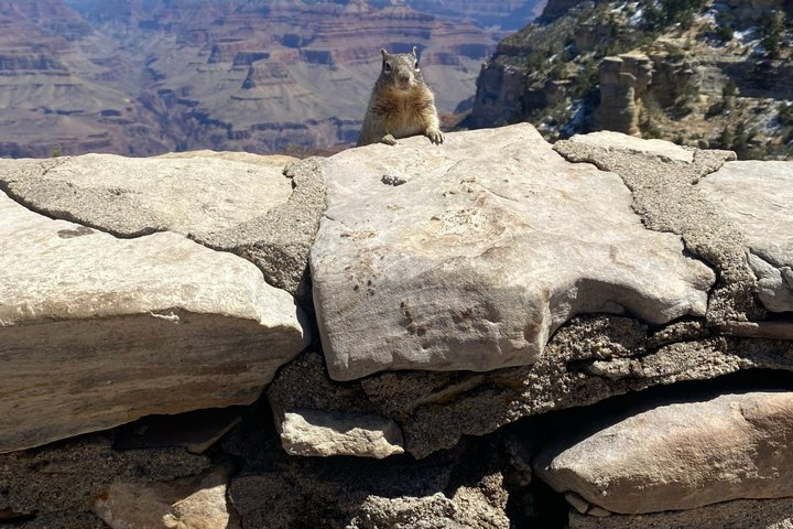 Dagstur till Grand Canyon med lunch inkluderat - Hämtning från Flagstaff