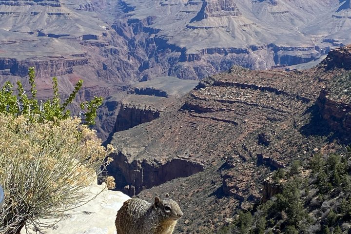 Dagstur till Grand Canyon med lunch inkluderat - Hämtning från Flagstaff