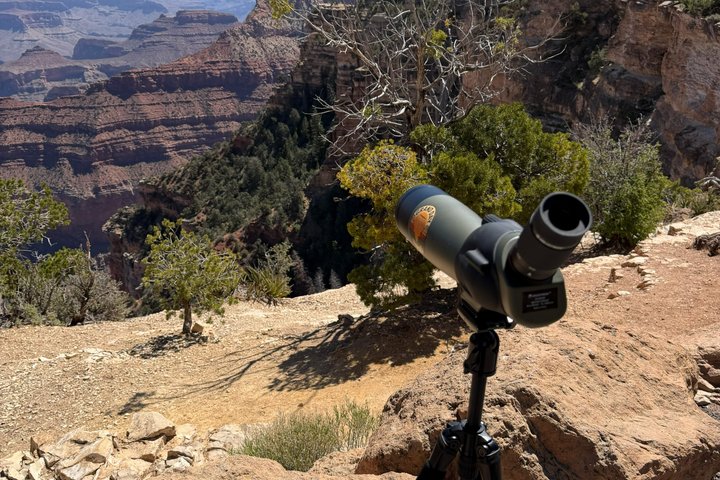 Dagstur till Grand Canyon med lunch inkluderat - Hämtning från Flagstaff