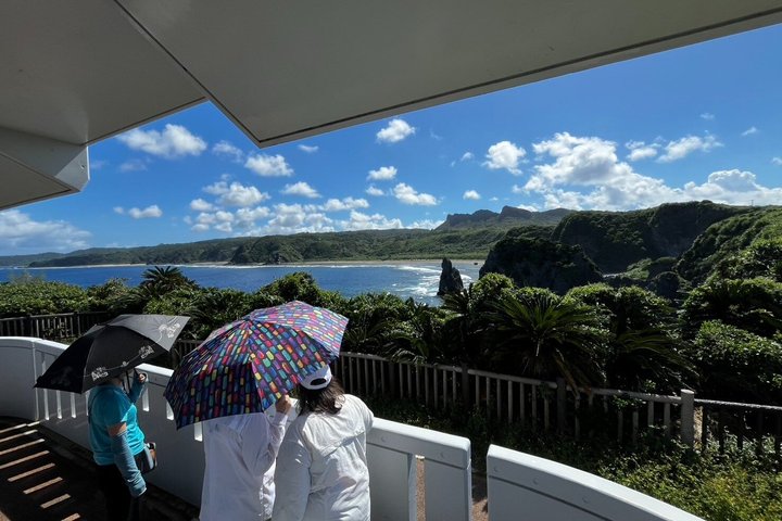 Excursão flexível de Okinawa - Condução e Guia incluídos 1-8 hóspedes (4 - 8H)