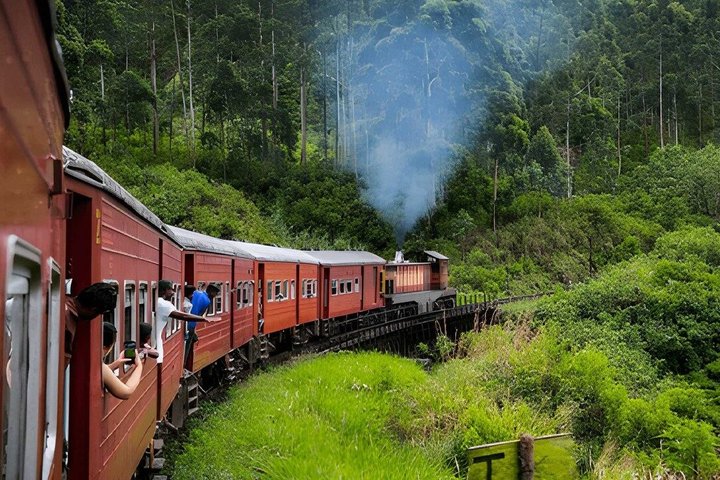 Ella til Kandy: En naturskøn rejse med tog og bil eller varevogn