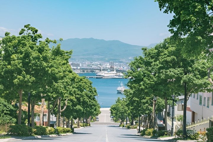 Excursion à terre dans le port et la baie au départ du port de Hakodate