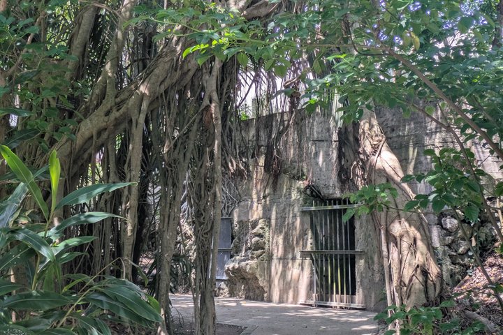 Storia della Seconda Guerra Mondiale di Okinawa e Tour di Hacksaw Ridge con una Guida Locale