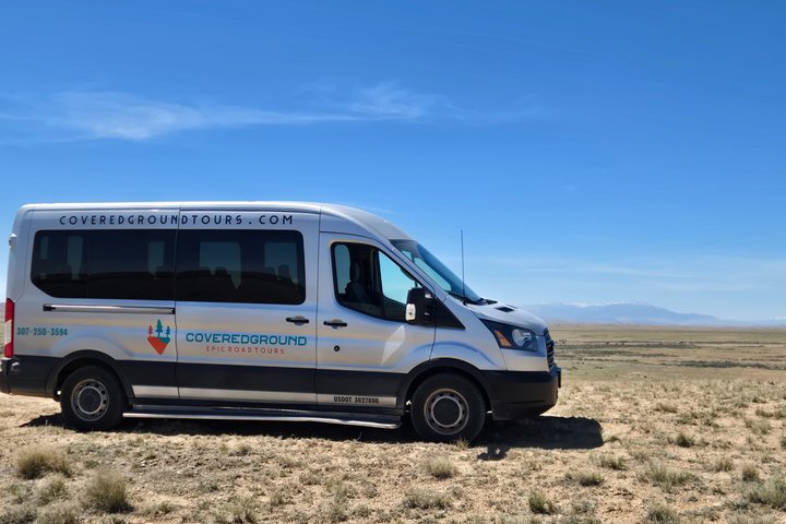Tour a cavallo selvaggio Mustang di mezza giornata da Cody Wyoming