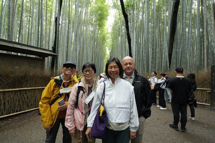 Strandutflykt: Privat heldagstur i Kyoto från hamnarna i Osaka/Kobe