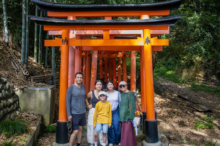 Strandutflykt: Privat heldagstur i Kyoto från hamnarna i Osaka/Kobe
