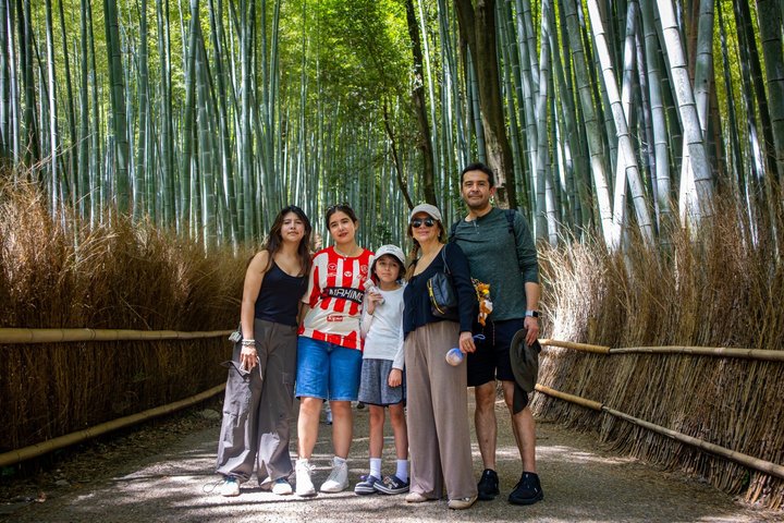 Strandutflykt: Privat heldagstur i Kyoto från hamnarna i Osaka/Kobe