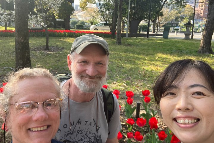 Strandutflykt: Privat heldagstur i Kyoto från hamnarna i Osaka/Kobe
