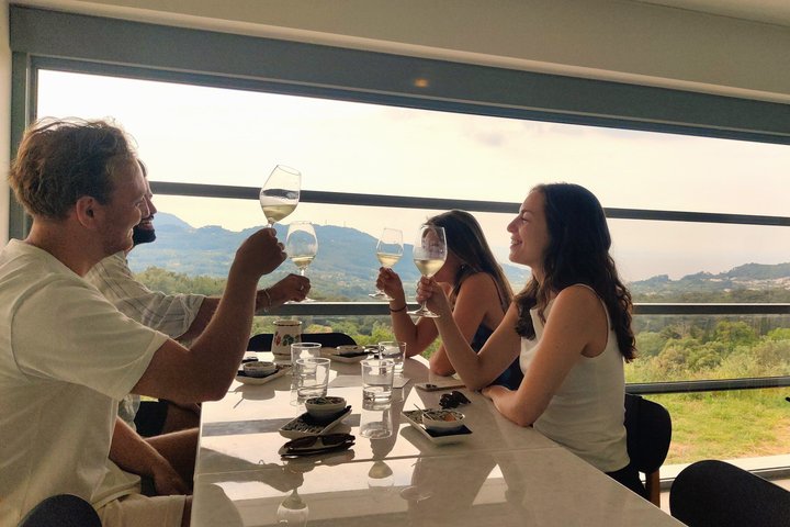 Samos : degustazione di vini presso l'azienda biologica Kostaki