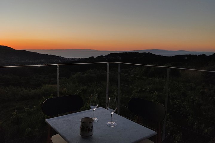 Samos : degustazione di vini presso l'azienda biologica Kostaki
