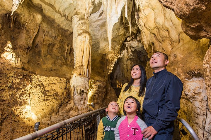 Hobbiton Movie Set & Waitomo Caves Pequeno grupo tour de Auckland