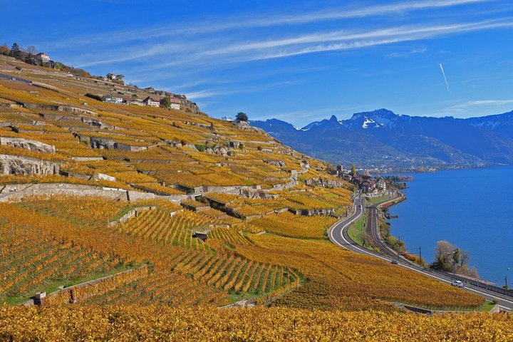 Lavaux UNESCO vingårder og vinsmaking Privat minibuss fra Montreux