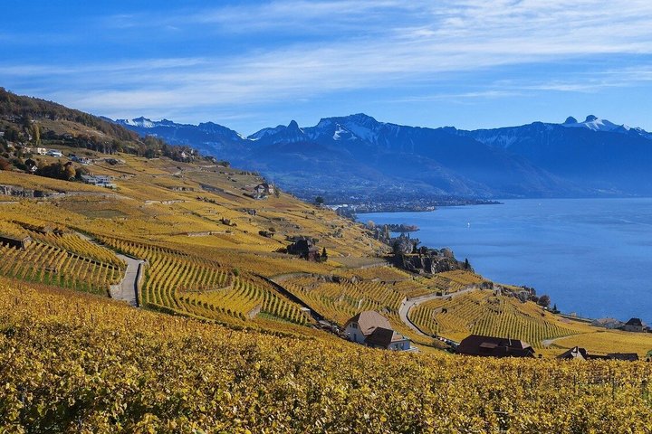 Lavaux UNESCO vingårder og vinsmaking Privat minibuss fra Montreux