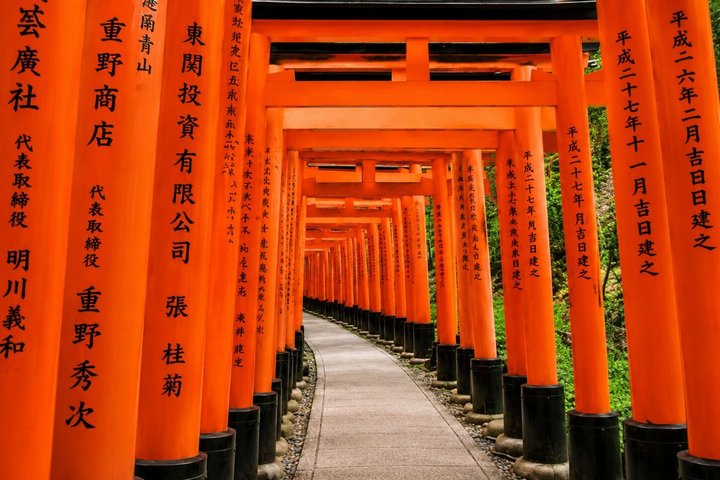 英語ドライバー付き大阪市内アルファードハイヤー