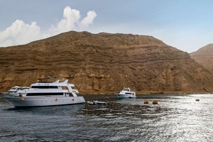 Snorkeling sull'isola di Tiran, crociera subacquea e pranzo - Sharm el Sheik