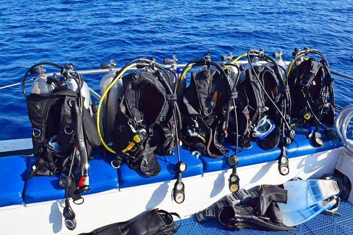 Snorkeling sull'isola di Tiran, crociera subacquea e pranzo - Sharm el Sheik