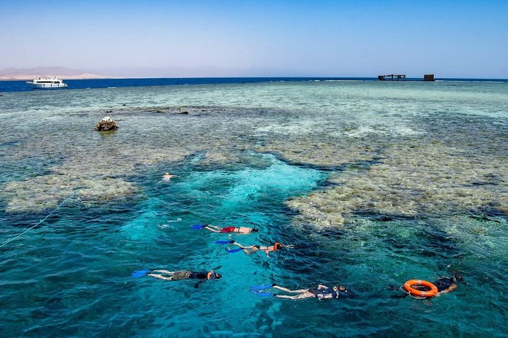 Snorkeling sull'isola di Tiran, crociera subacquea e pranzo - Sharm el Sheik