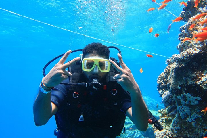 Snorkeling sull'isola di Tiran, crociera subacquea e pranzo - Sharm el Sheik