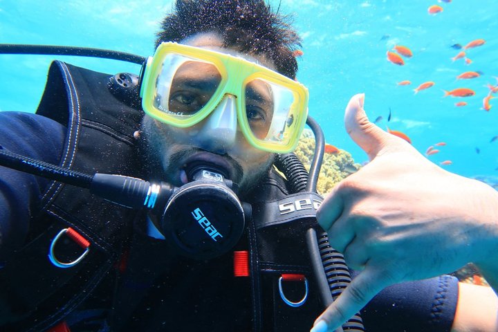 Snorkeling sull'isola di Tiran, crociera subacquea e pranzo - Sharm el Sheik